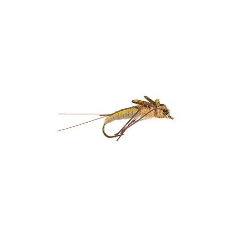 Beaded Nymphs Realistic Heavy Black JC Stonefly $2.42