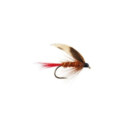 Wets Brown Red Tailed Wet $2.34