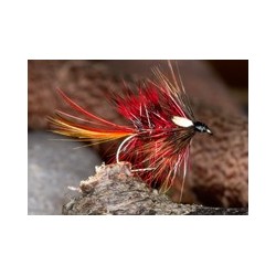 Wets ClanChiefKate $2.34