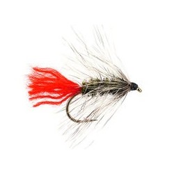Wets Peacock Wolly Worm $2.34