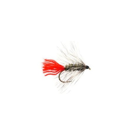 Wets Peacock Wolly Worm $2.34