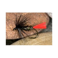 Wets PearlyZulu $2.34