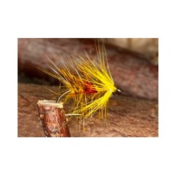 Wets GoldenOliveBibio $2.34