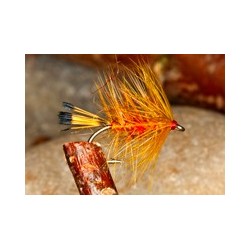 Wets GingerBibio $2.34