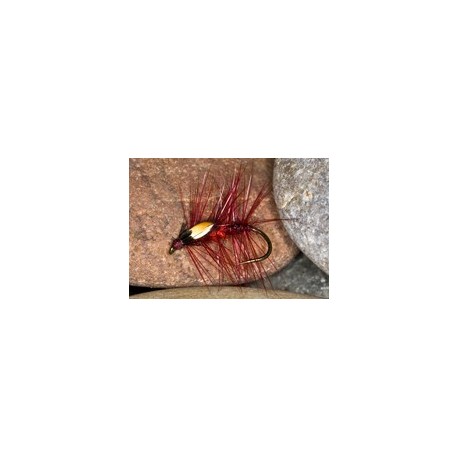 Wets cockeyedbibio $2.34