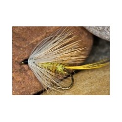 Wets iceimposter $2.34