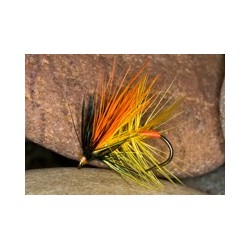 Wets HunchbackOrange $2.34