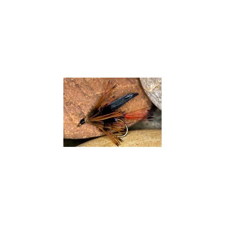 Wets HaulyGwentRedTail $2.34