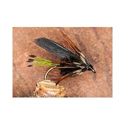 Wets ChurchWindowHyG $2.34