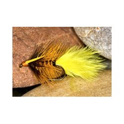 Wets SunburstKatie $2.34