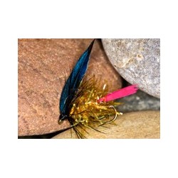 Wets glitterbodgoldbutch $2.34