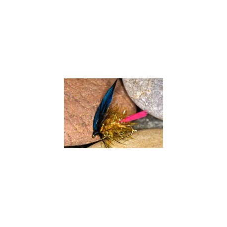 Wets glitterbodgoldbutch $2.34