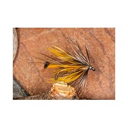 Wets GalwayLightOlive $2.34