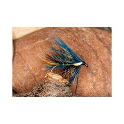 Wets KateBlueHaired $2.34