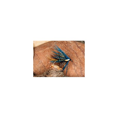 Wets KateBlueHaired $2.34