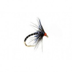 Wets KJ Black & UV Spider $2.34
