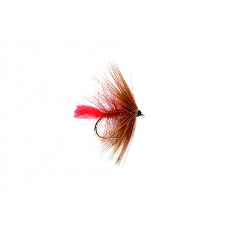 Wets Soldier Palmer $2.34