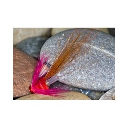 Tubes Tilbouries Shrimp BB $6.80